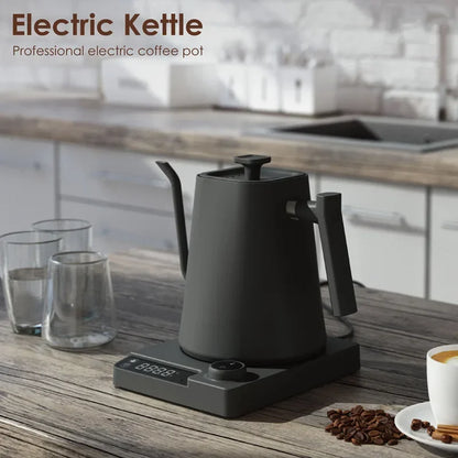 Precision Gooseneck Electric Kettle™