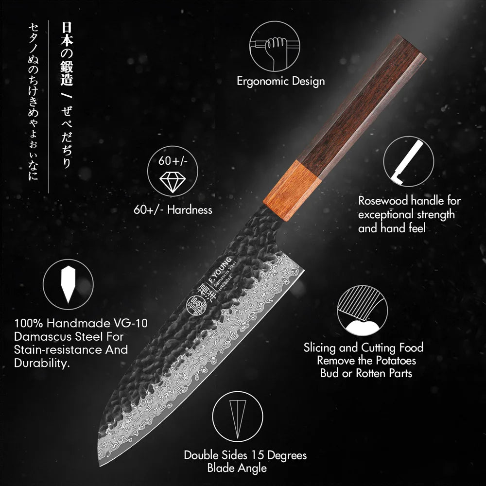 F.YOUNG 7" Japanese Santoku Knife 67 Layer Damascus Steel