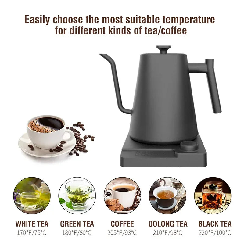 Precision Gooseneck Electric Kettle™