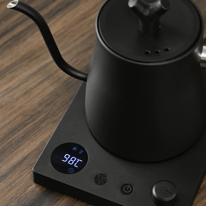 Artisan Gooseneck Electric Kettle™