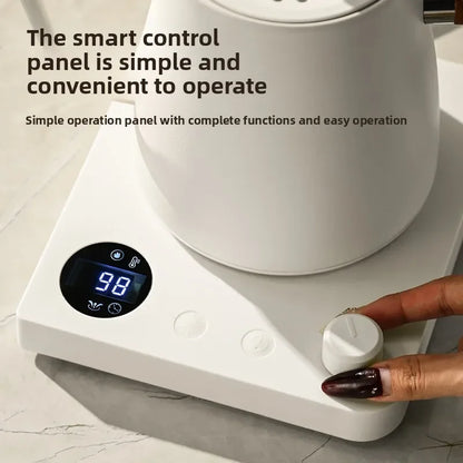 Artisan Gooseneck Electric Kettle™